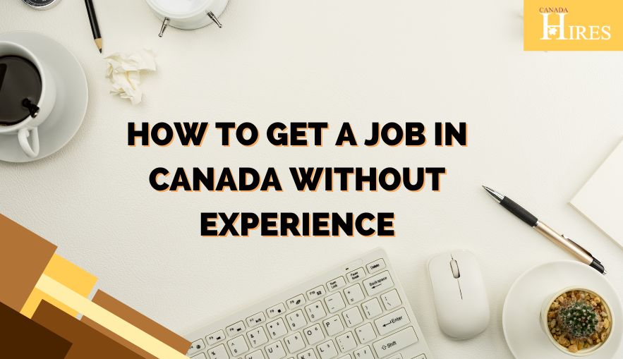 How to Get a Job in Canada Without Experience | Tips for Job Seekers